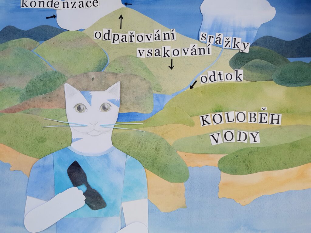 Macík vysvětluje koloběh vody, seznamuje s pojmy: odpařování, odtok, vsakování, srážky a kondenzace