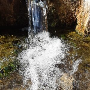 Image 33