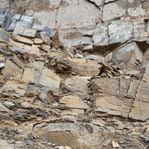 Image 46